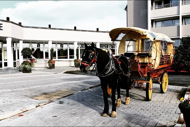 Jaunting Car Tour in Killarney National Park - Private Experience