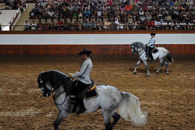 Jerez and Cadiz, With Horse Ballet and Sherry Tasting Full-Day From Seville - Cancellation Policy Details