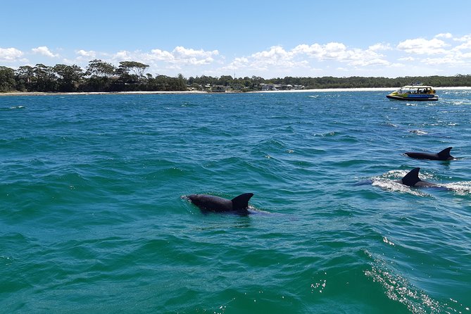 Jervis Bay Dolphin Cruise - Health and Safety Considerations