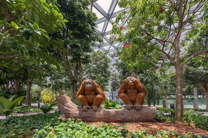 Jewel Changi Airport: Walking Net Complimentary Canopy Park - Walking Net Experience