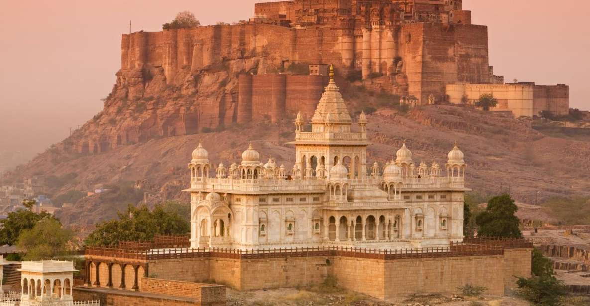 Jodhpur: Guided Full-Day Tour - Experience Highlights