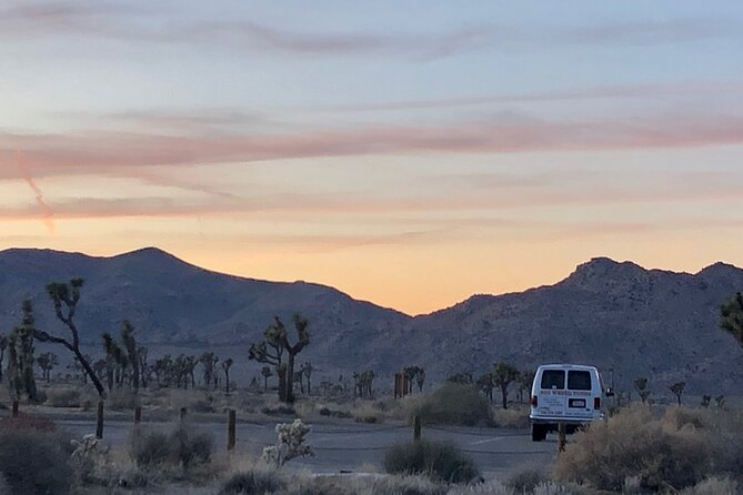 Joshua Tree National Park Driving Tour - Meeting Point Details