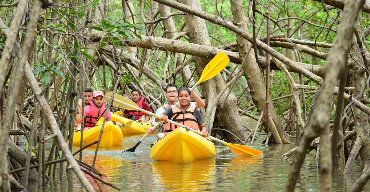 Juan Dolio: Los Haitises Guided Hike and Kayaking - Languages Available