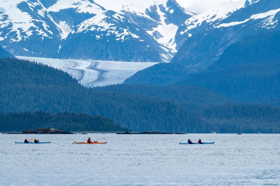Juneau: Channel Islands Whale Watching Kayak Adventure - Experience Highlights