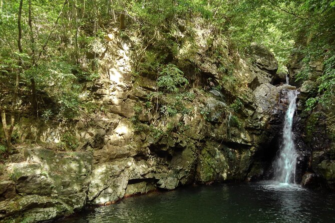 Jungle River Trek: Private Tour in Yanbaru, North Okinawa - Meeting Point Information