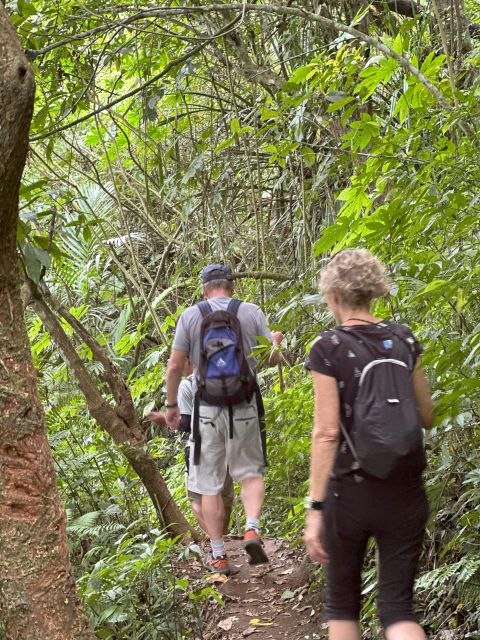 Jungle Trek, Canoe, Waterfall & Cycling - Activity Inclusions Overview