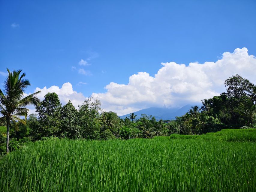 Jungle Trekking at Mt. Batukaru, Scenic Waterfall & Village - Booking Details