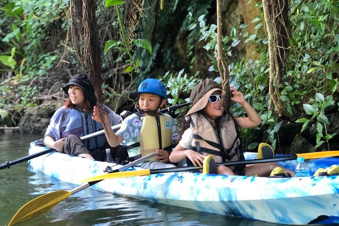 Kadena Mangrove Kayak Tour (Mar ) - What To Expect