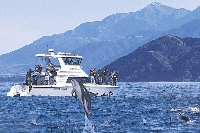Kaikoura 12-Hour Dolphin Cruise From Christchurch (Mar ) - Customer Feedback and Reviews