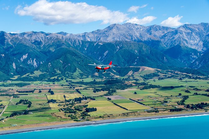 Kaikoura: Coastal and Alpine Scenic Airplane Flight - Tour Highlights