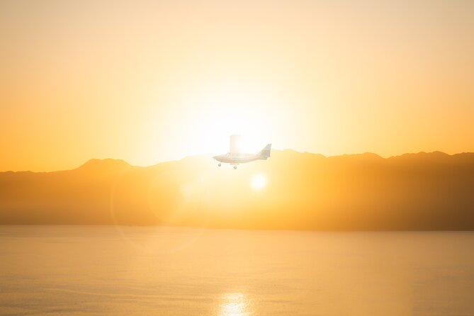 Kaikoura: Whale Watching Flight (Extended) - Experience Highlights