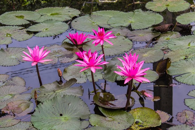 Kakadu, Nourlangie and Yellow Waters Tour From Darwin - Customer Reviews