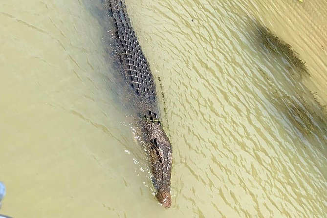 Kakadu Yellow Waters Cruise & Katherine Gorge Helicopter Scenic - Traveler Experiences and Reviews