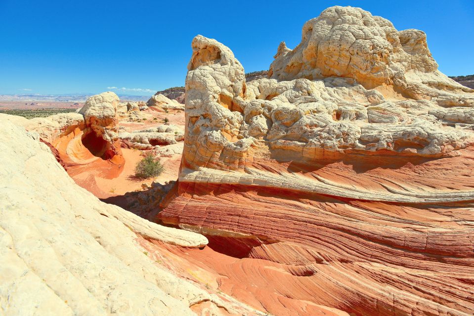 Kanab: White Pocket Hiking Tour in Vermilion Cliffs - Experience Highlights