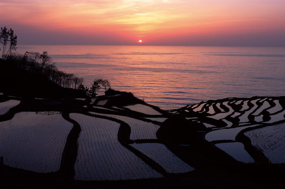 Kanazawa: Noto Peninsula Private Day-Tour - Experience Highlights