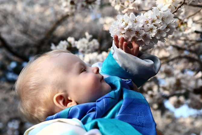 Kanazawa Private Half Day Tour Photoshoot Session by Professional Photographer - Pickup Options and Maximum Capacity