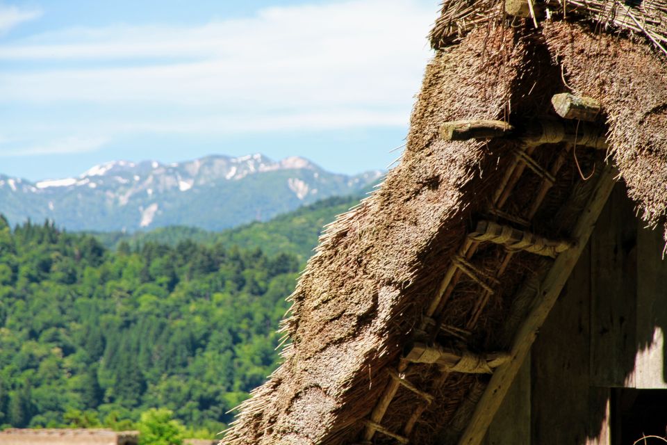 Kanazawa to Shirakawago: Half-Day Tour - Experience