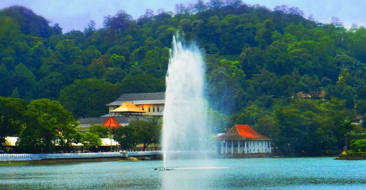 Kandy and Pinnawala Private Full–Day Tour - Experience Highlights