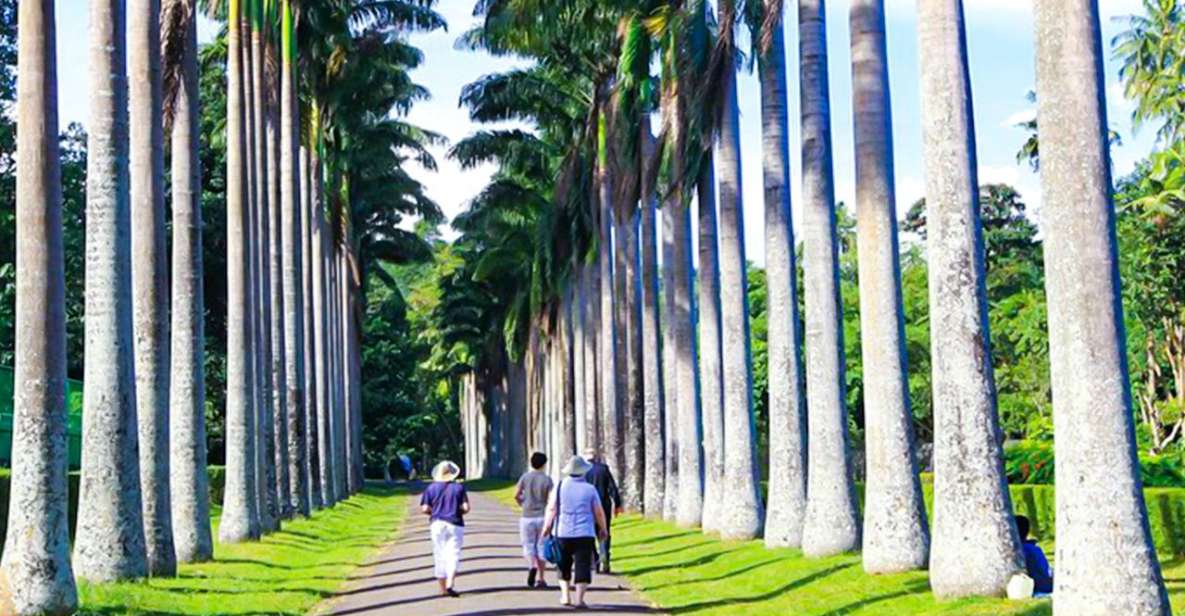 Kandy Majesty: Full-Day Feast & Explore With Lunch - Tour Highlights