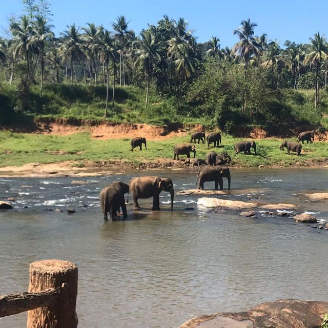 Kandy One Day Tour - Tour Experiences