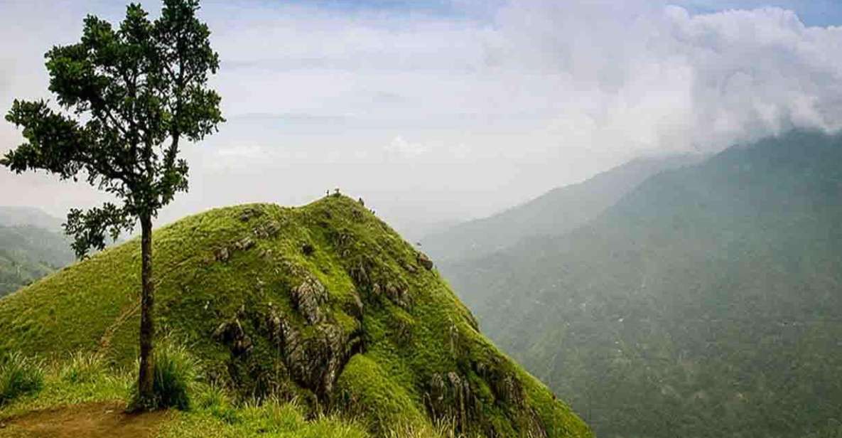 Kandy: Shanthipura and Nuwara Eliya - Highlights