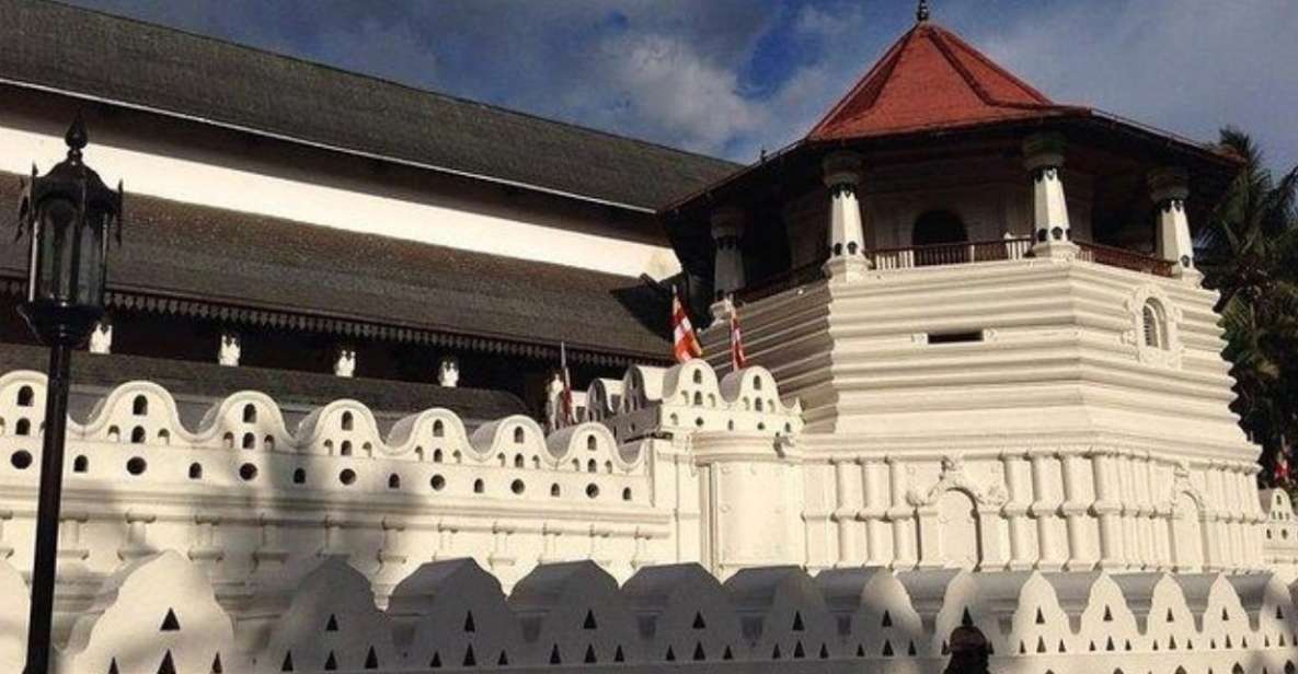 Kandy: the Last Kingdom Private Day Tour From Colombo Harbor - Inclusions and Itinerary Highlights