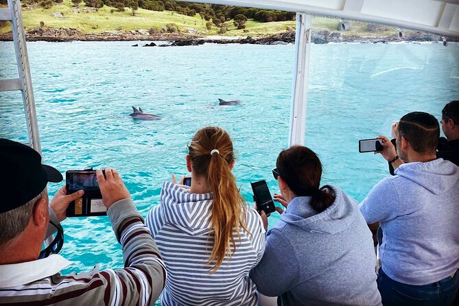 Kangaroo Island 75-Minute Coastal Safari - Logistics