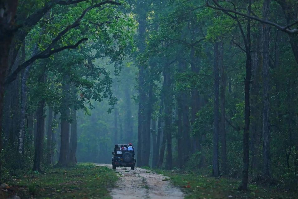 Kanha National Park: Open Jeep Tiger Safari in Kanha Kisli - Flexible Payment Options