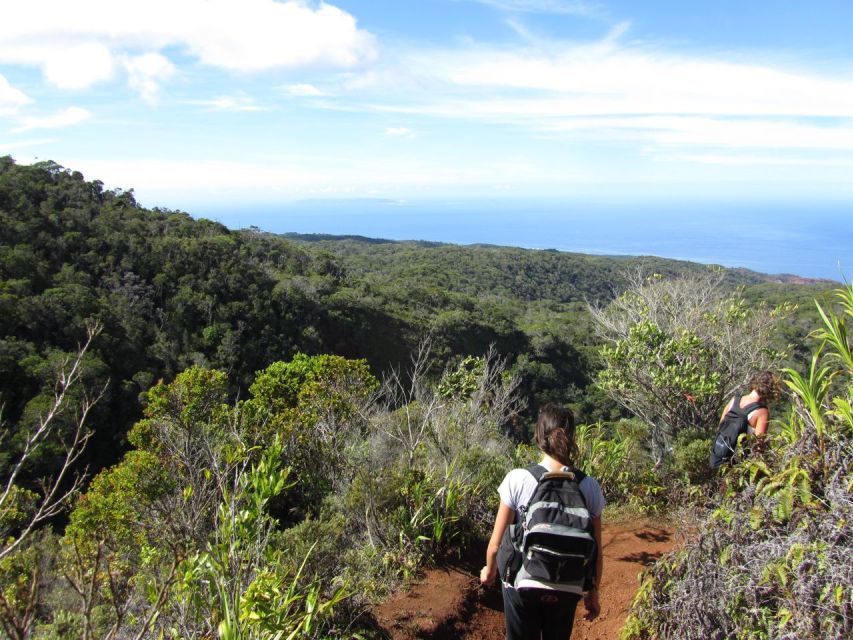 Kauai: Full-Day Kauaʻi Adventure - Experience Highlights