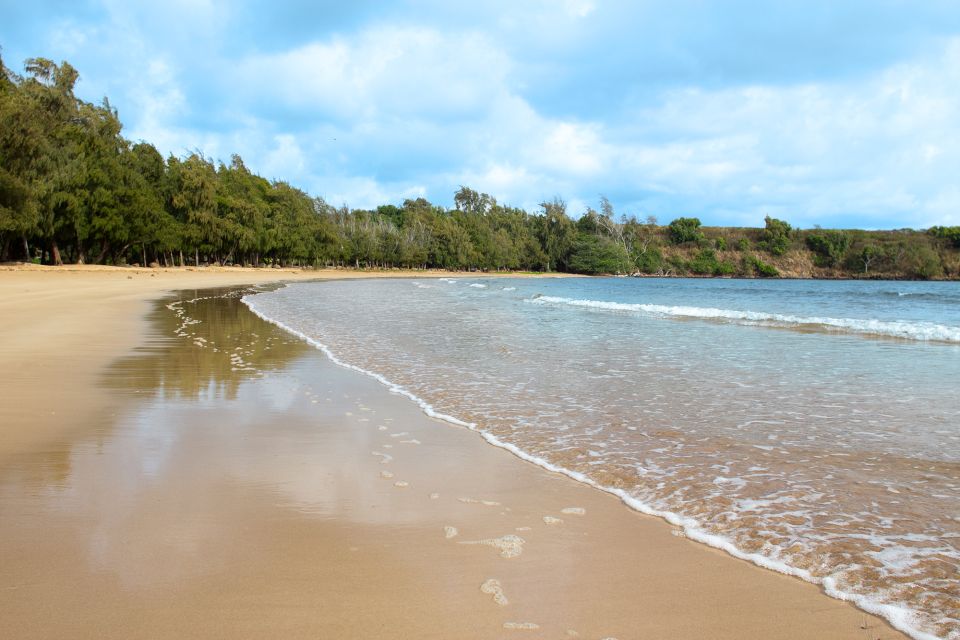 Kauai: Movie Locations Tour - Experience Insights