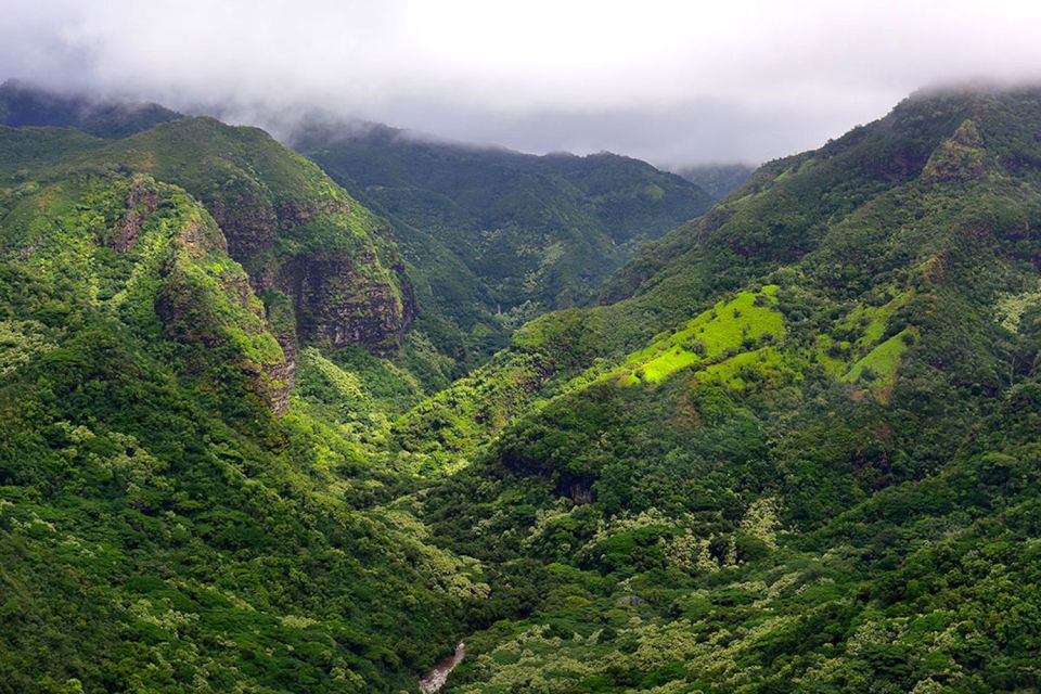 Kauai: Scenic Movie Locations Bus Tour - Experience Highlights