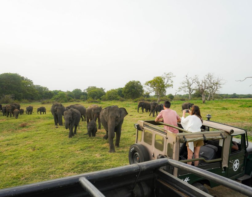 Kaudulla National Park Half Day Sri Lanka Jeep Safari - Flexible Cancellation and Payment Options