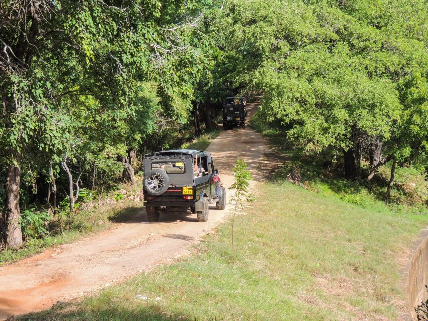 Kaudulla National Park: Private Safari - Experience Highlights