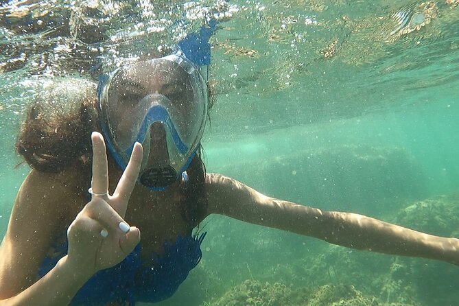 Kayak Excursion to Cova Dels Coloms From Platja Mascarat - Inclusions