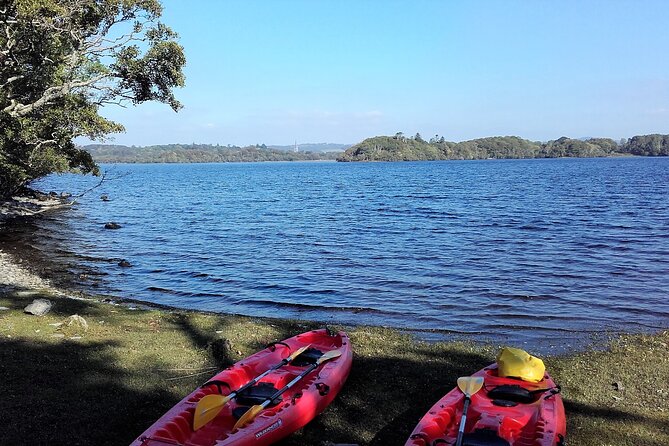 Kayak to Innisfallen Island. Killarney. Guided. 2½ Hours. - Reviews and Ratings