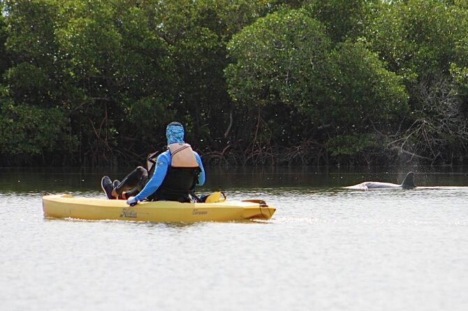 Kayak Tour Adventure Marco Island and Naples Florida - Equipment and Inclusions