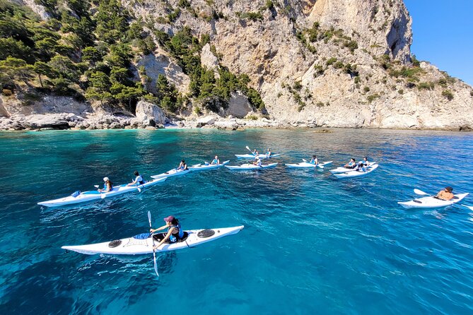 Kayak Tour in Capri Between Caves and Beaches - Customer Reviews and Testimonials