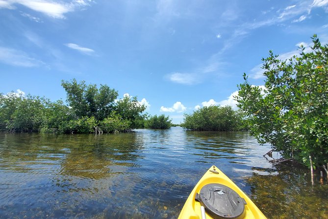 Kayak Tour of Mangrove Maze From Key West - Meeting and Pickup