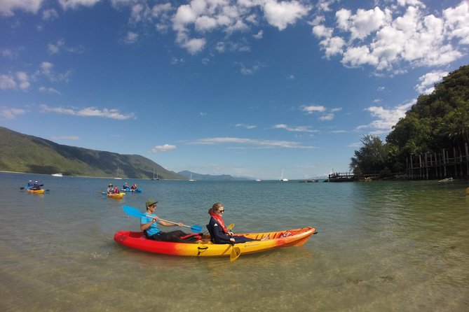Kayak Turtle Tour From Palm Cove - Logistics