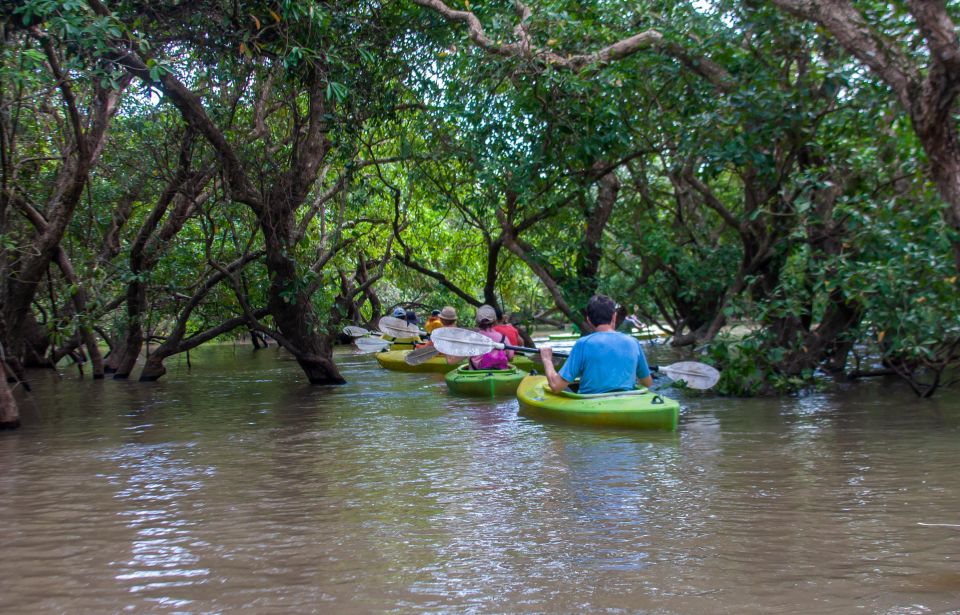 Kayaking & Floating Village in Siem Reap - Experience Highlights