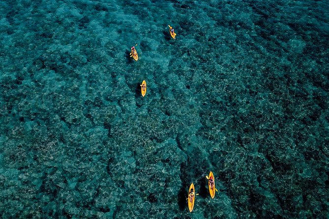 Kayaking Tour of Kailua Bay With Lunch, Oahu - What To Expect