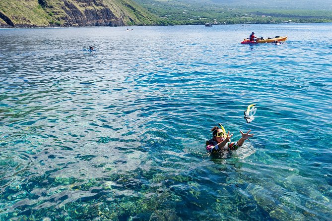 Kealakekua Bay Half-Day Tour From Kailua-Kona  - Big Island of Hawaii - Logistics