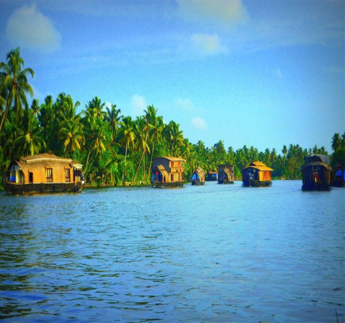 Kerala: 4-Day Tour With Tree House Stay & Houseboat Ride - Tree House Experience