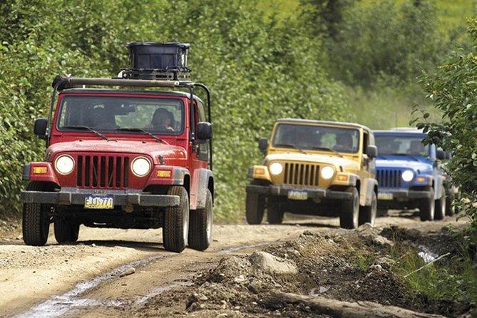 Ketchikan Jeep and Canoe Safari - Tour Experience