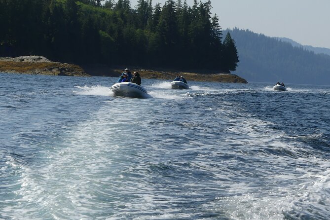 Ketchikan Zodiac Self-Piloting Private Guided Tour (Mar ) - Customer Reviews and Ratings