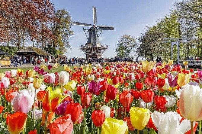 Keukenhof & Flowerfarm Tour From Amsterdam Skip-The-Line Tickets - Overview and Inclusions
