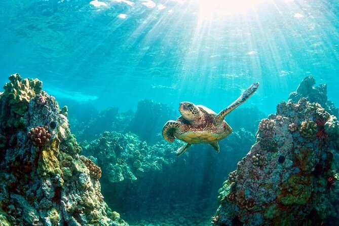 Key Largo Snorkeling Trips & Islamorada Sandbar Tours - Inclusions and Services Provided