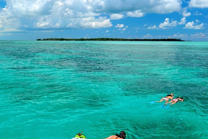 Key West Dolphin Watch and Snorkel Cruise - Crew Experience