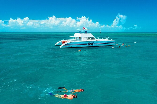 Key West Double-Dip: Two Reef Snorkeling Adventure With Drinks - Tour Features and Inclusions