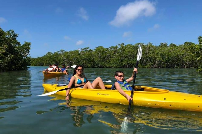 Key West Mangrove Kayak Eco Tour - Itinerary Highlights